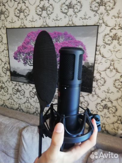 Студийный микрофон sE2200 electronics