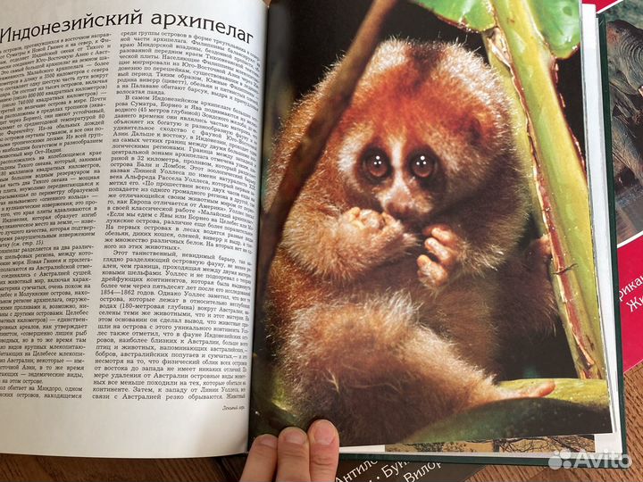 Энциклопедии Удивительный мир живой природы