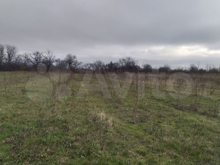 Участок 50 сот. (ИЖС)