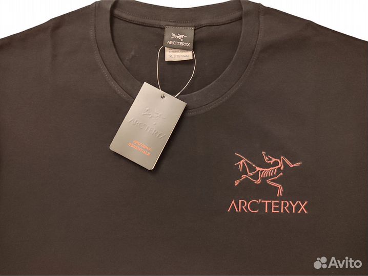 Arcteryx футболка
