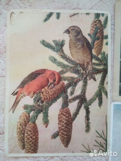 Открытки СССР 8 марта. день победы.1 мая