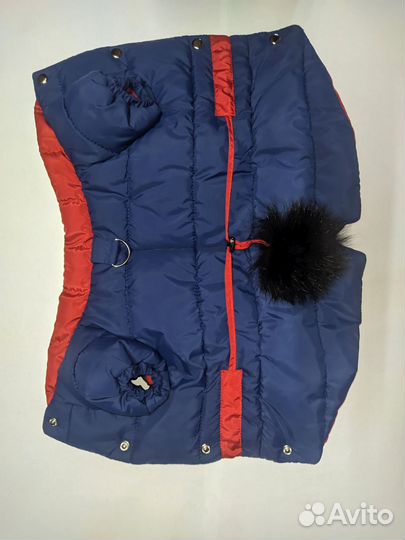 Одежда для собак маленьких пород