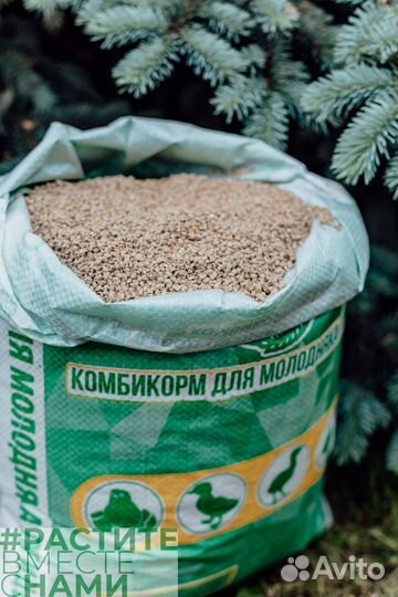 Комбикорм для бройлеров