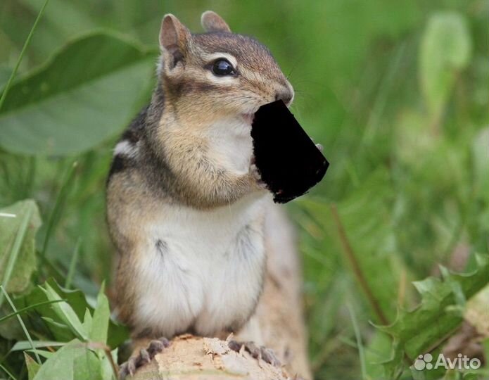 Кондиционеры в рассрчоку без взноса