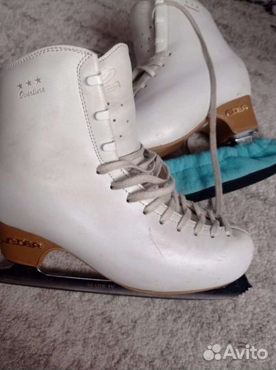 Коньки Edea overture