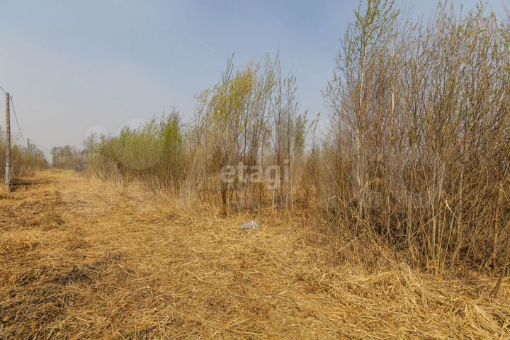 Участок 9 сот. (СНТ, ДНП)