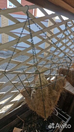 Горшок для цветов подвесной