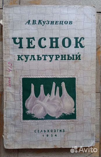 Чеснок культурный. А. В. Кузнецов. 1954 год