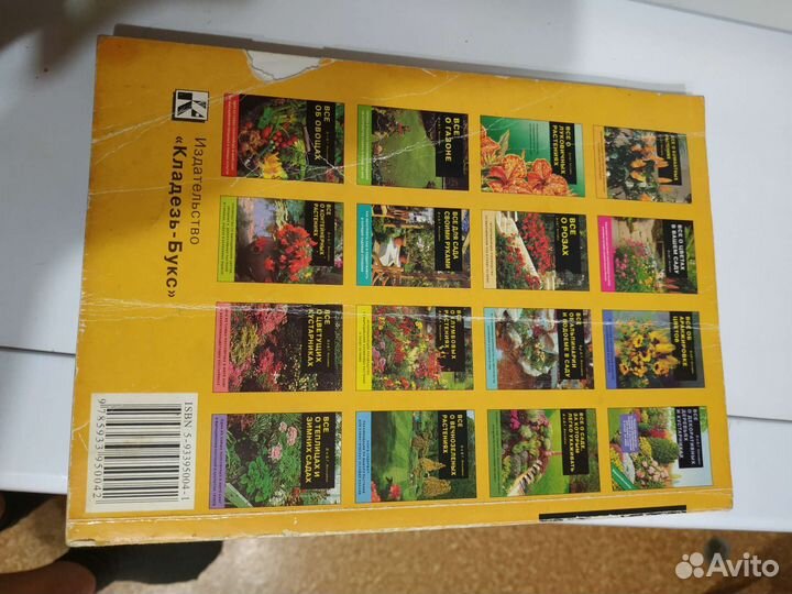 Все о комнатных растениях Хессаойн