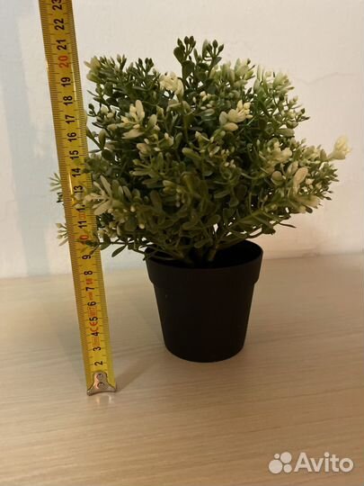 Икеа цветок