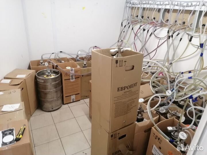 Готовый бизнес пивной магазин