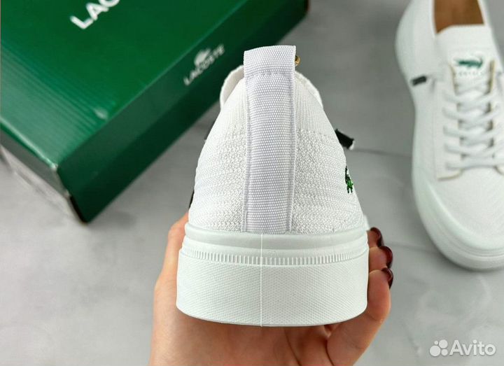 Мужские кеды Lacoste