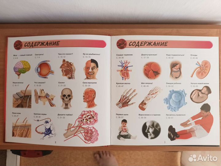 Книга энциклопедия 