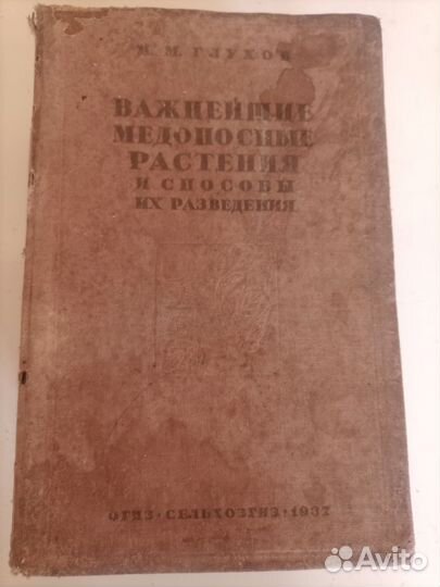 Важнейшие медоносные растения