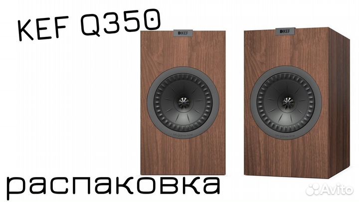 Kef Q350