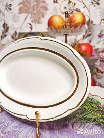 Селедочница зик