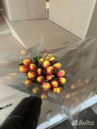 Тюльпаны опт розница корпоративные заказы