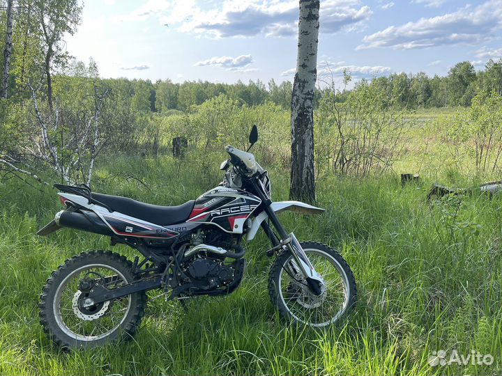 Racer Panther 250