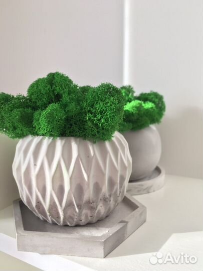 Декор кашпо со стабилизированным мхом