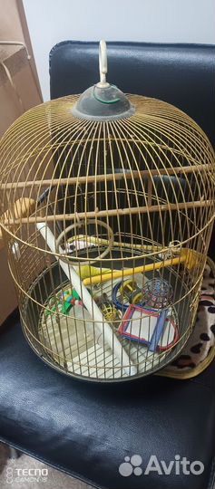 Клетка для попугая бу