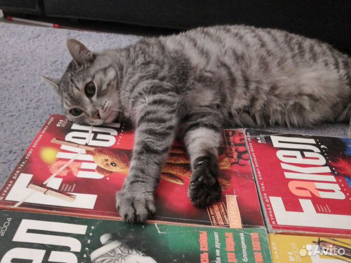 Журнал Факел