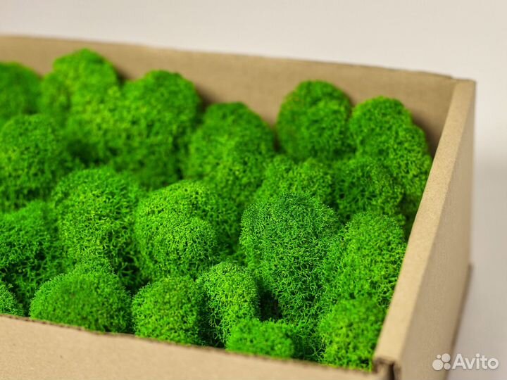 Стабилизированный ягель 100 гр