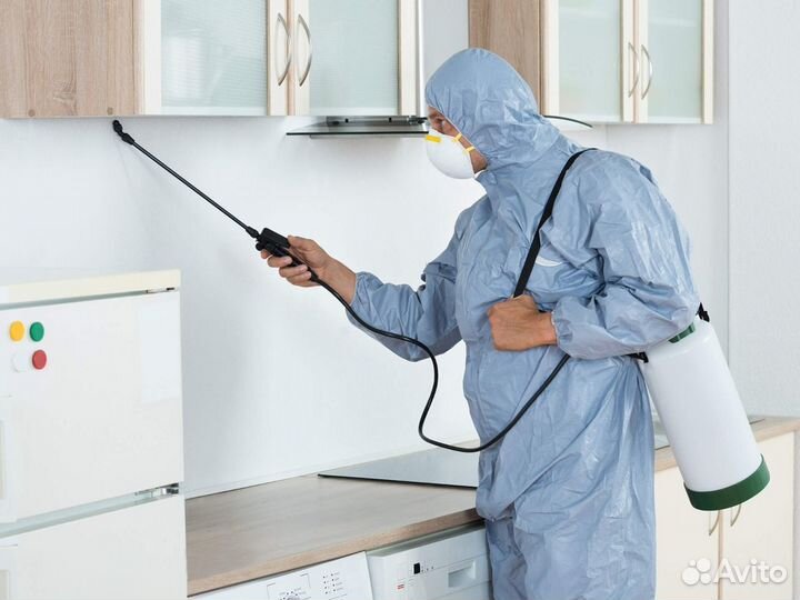 Дезинфекция дезинсекция уничтожение насекомых