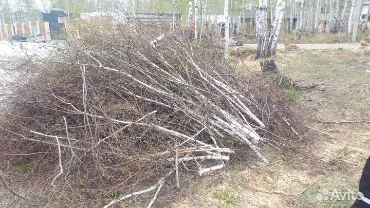 Измельчитель веток щепорез аренда