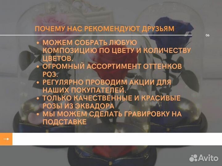 Роза в колбе. Новая