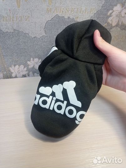 Одежда для собак