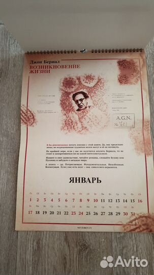 Календарь развития Невзоров