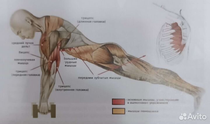 Программа тренировок в домашних условиях