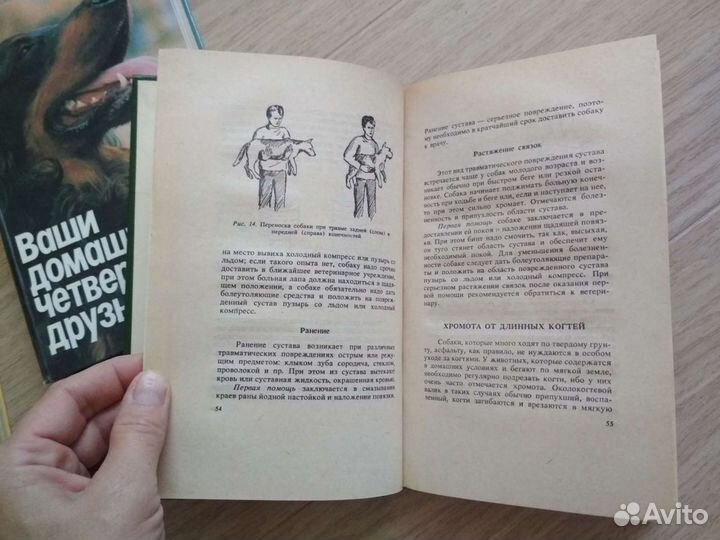 Книги о собаках и их здоровье