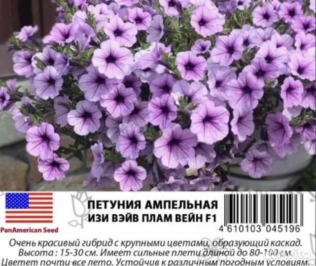 Семена петунии Изи вэйв