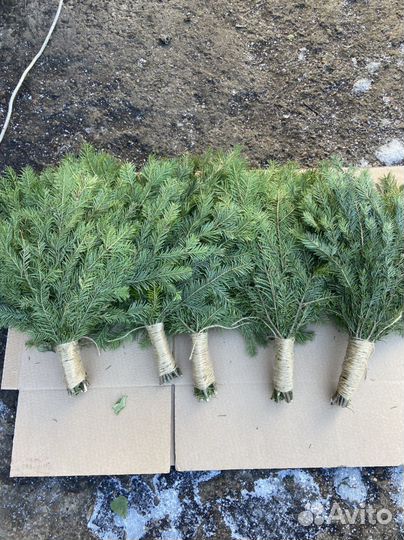 Веники для бани