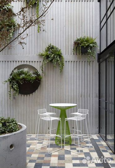 Ампельное озеленение декоративными растениями