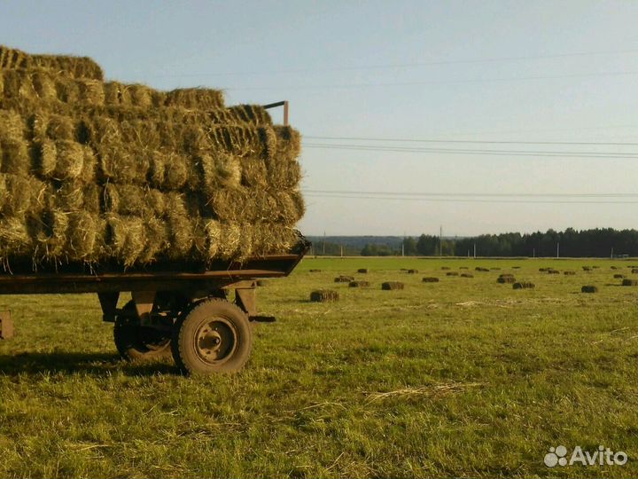 Сено в тюках