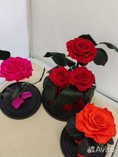 Роза в колбе оптом и в розницу