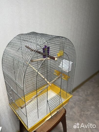 Большая клетка для птиц + принадлежности