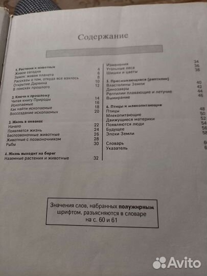 Энциклопедия