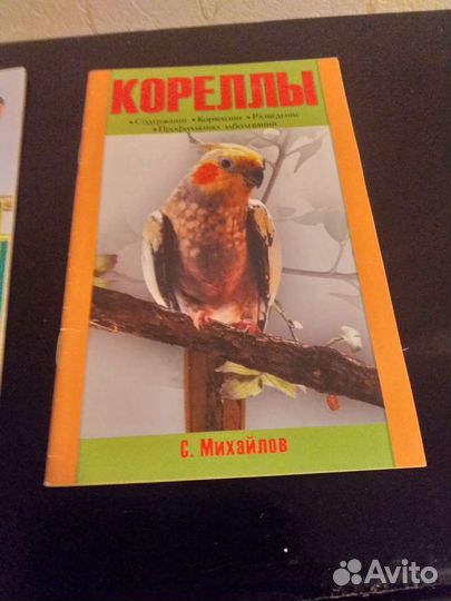Книжки