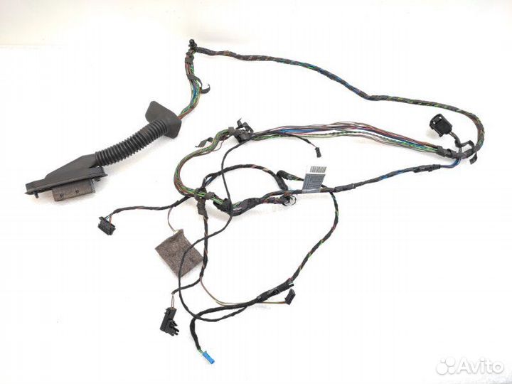 Проводка двери задняя левая Bmw X5 E70 N52B30 2008