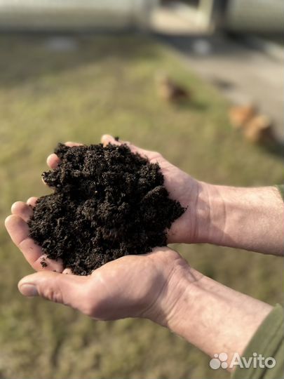 Навоз перегной чернозем в мешках и машинами