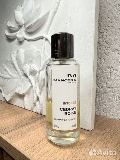 Cedrat Boise Mancera