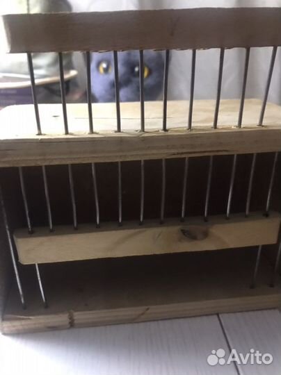 Переноска для птиц и грызунов