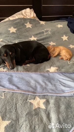 Вязка кабеля