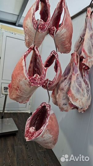 Мясо телятина, баранина