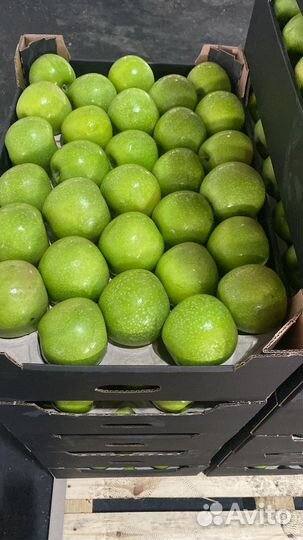 Яблоки опт доставка