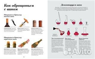 Wine folly Книга Мадлен Пакетт детализир. изд