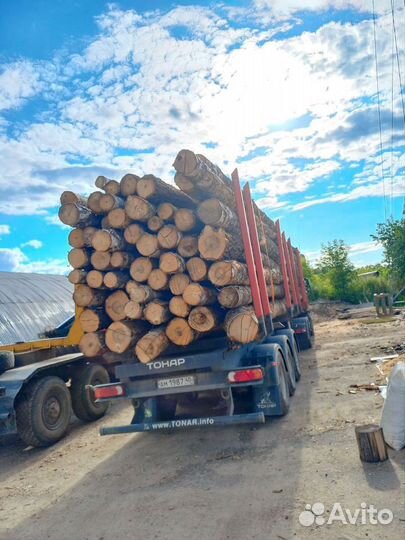 Дрова колотые берёзовые